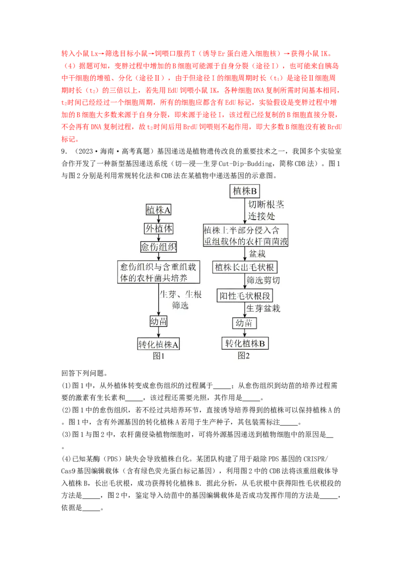 专题24基因工程（解析版）_2024年新高考资料_1.2024一轮复习_备战2024年高考生物一轮复习抢分特训（全国通用）_专题24基因工程-备战2024年高考生物一轮复习抢分特训（全国通用）