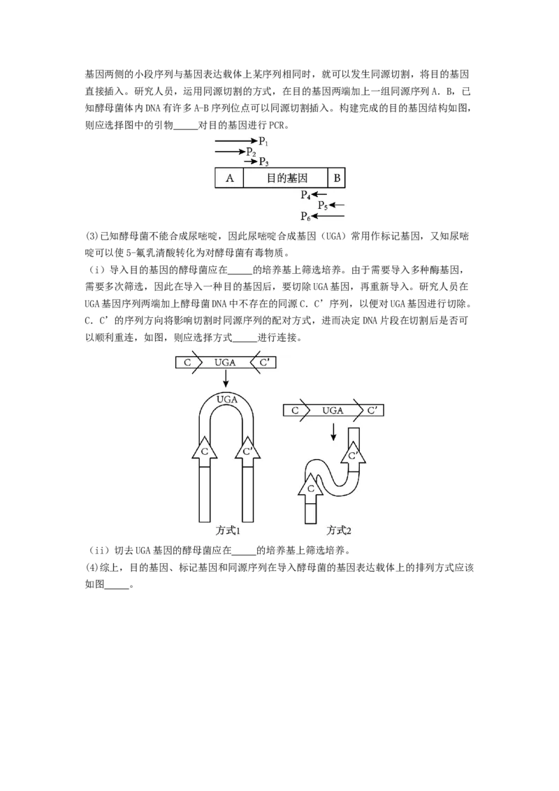 专题24基因工程（解析版）_2024年新高考资料_1.2024一轮复习_备战2024年高考生物一轮复习抢分特训（全国通用）_专题24基因工程-备战2024年高考生物一轮复习抢分特训（全国通用）