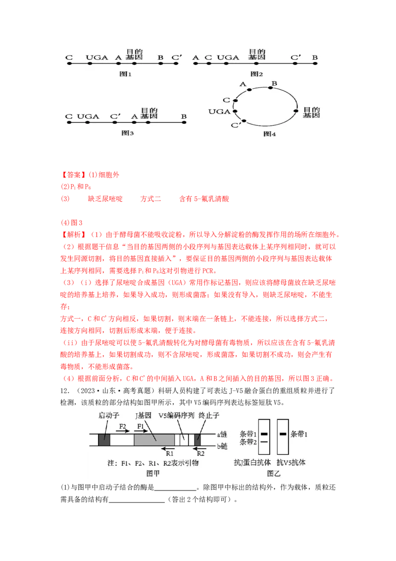 专题24基因工程（解析版）_2024年新高考资料_1.2024一轮复习_备战2024年高考生物一轮复习抢分特训（全国通用）_专题24基因工程-备战2024年高考生物一轮复习抢分特训（全国通用）