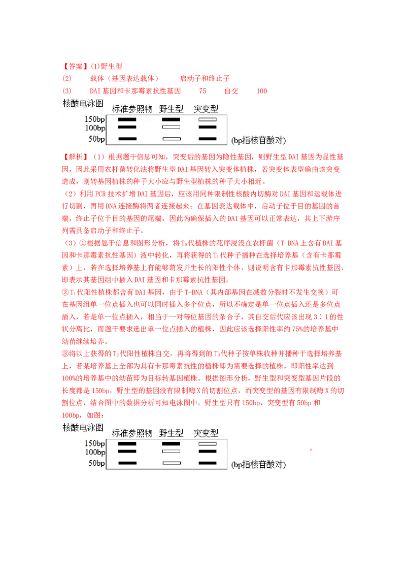 专题24基因工程（解析版）_2024年新高考资料_1.2024一轮复习_备战2024年高考生物一轮复习抢分特训（全国通用）_专题24基因工程-备战2024年高考生物一轮复习抢分特训（全国通用）