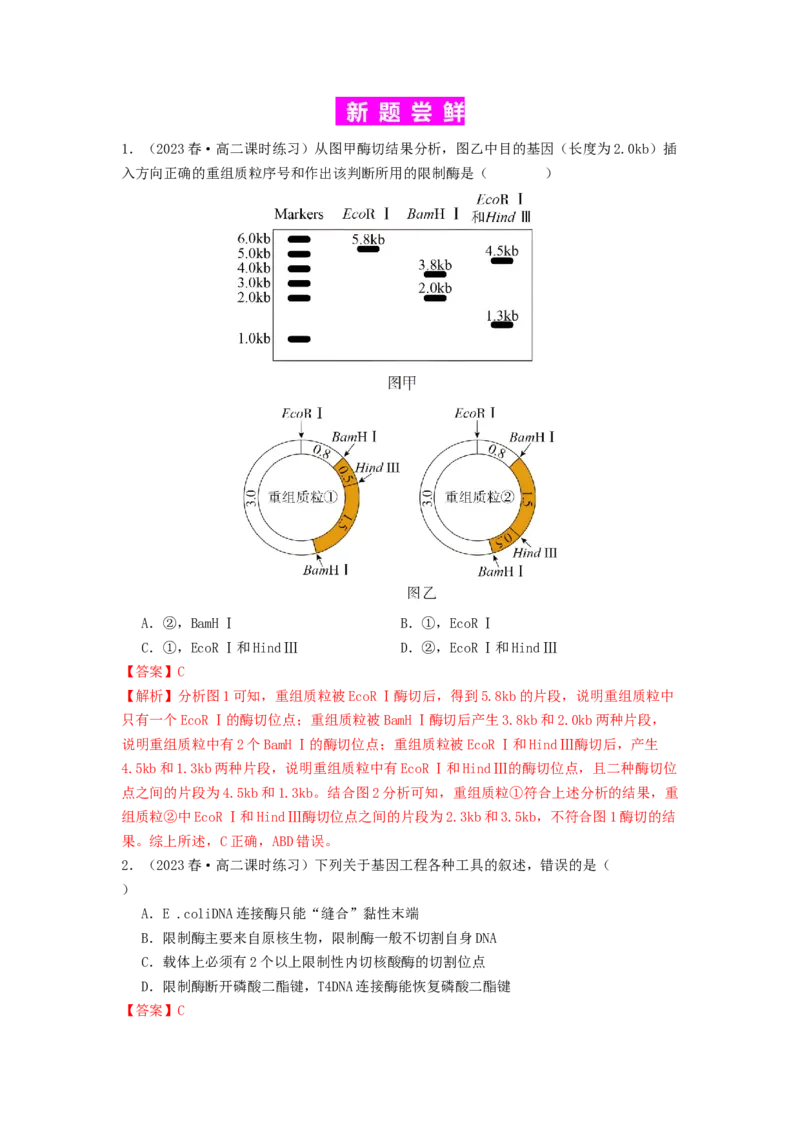 专题24基因工程（解析版）_2024年新高考资料_1.2024一轮复习_备战2024年高考生物一轮复习抢分特训（全国通用）_专题24基因工程-备战2024年高考生物一轮复习抢分特训（全国通用）
