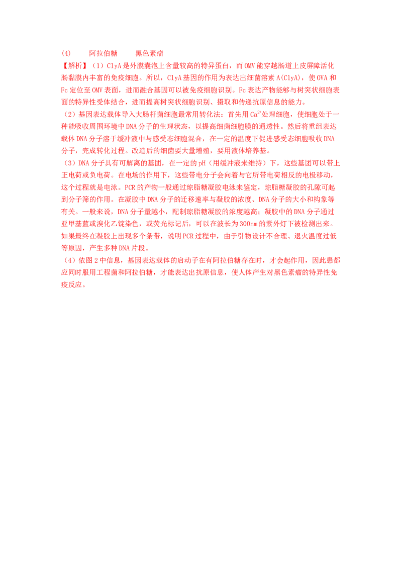 专题24基因工程（解析版）_2024年新高考资料_1.2024一轮复习_备战2024年高考生物一轮复习抢分特训（全国通用）_专题24基因工程-备战2024年高考生物一轮复习抢分特训（全国通用）