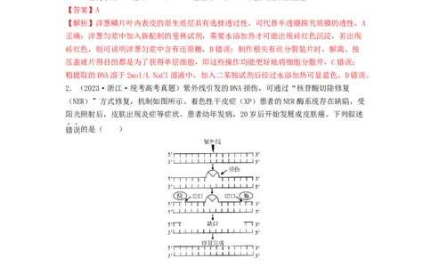 专题24基因工程（解析版）_2024年新高考资料_1.2024一轮复习_备战2024年高考生物一轮复习抢分特训（全国通用）_专题24基因工程-备战2024年高考生物一轮复习抢分特训（全国通用）