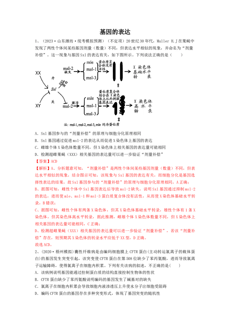 专题19基因的表达（精练）（解析版）_2024年新高考资料_1.2024一轮复习_备战2024年高考生物一轮复习串讲精练（新高考专用）