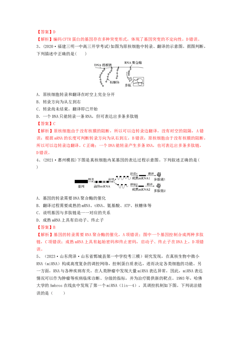 专题19基因的表达（精练）（解析版）_2024年新高考资料_1.2024一轮复习_备战2024年高考生物一轮复习串讲精练（新高考专用）
