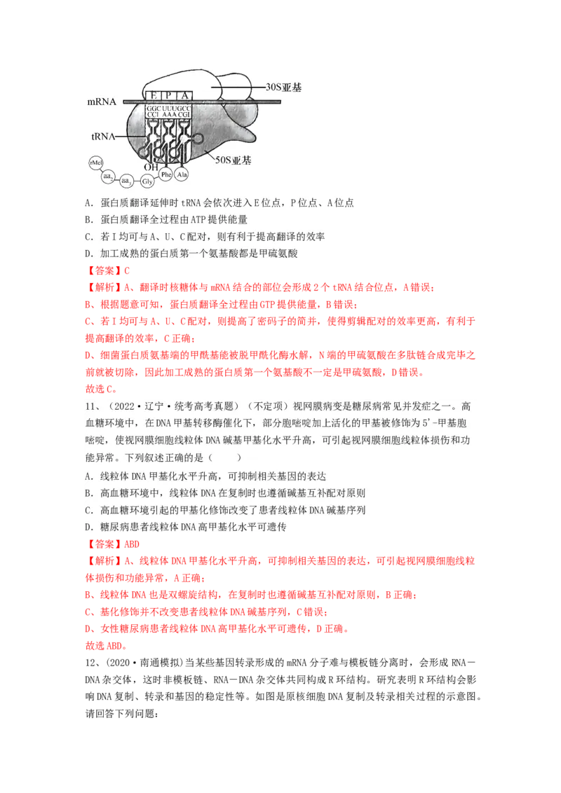 专题19基因的表达（精练）（解析版）_2024年新高考资料_1.2024一轮复习_备战2024年高考生物一轮复习串讲精练（新高考专用）
