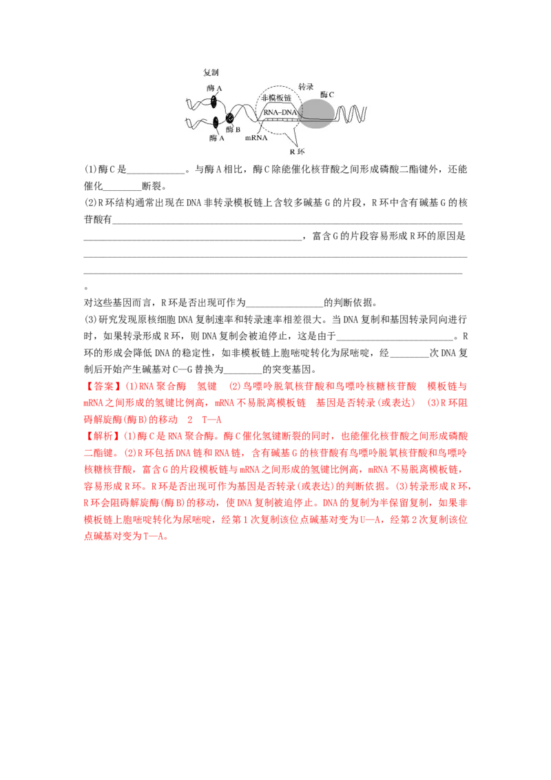 专题19基因的表达（精练）（解析版）_2024年新高考资料_1.2024一轮复习_备战2024年高考生物一轮复习串讲精练（新高考专用）