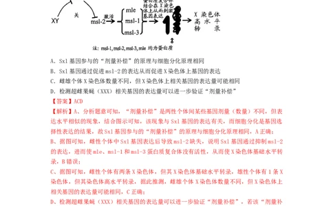专题19基因的表达（精练）（解析版）_2024年新高考资料_1.2024一轮复习_备战2024年高考生物一轮复习串讲精练（新高考专用）