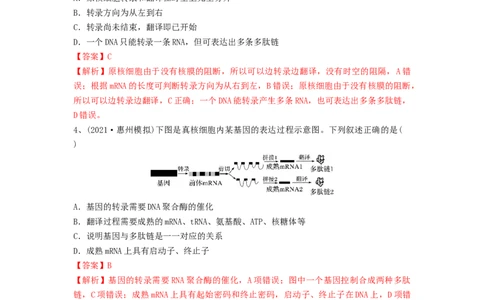 专题19基因的表达（精练）（解析版）_2024年新高考资料_1.2024一轮复习_备战2024年高考生物一轮复习串讲精练（新高考专用）