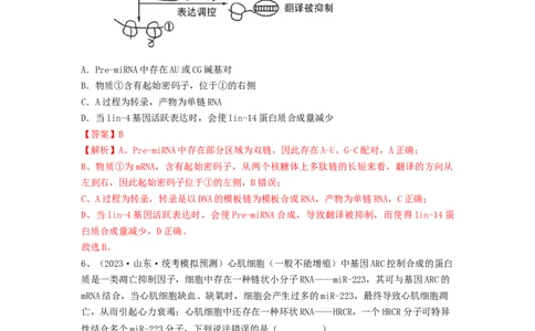 专题19基因的表达（精练）（解析版）_2024年新高考资料_1.2024一轮复习_备战2024年高考生物一轮复习串讲精练（新高考专用）