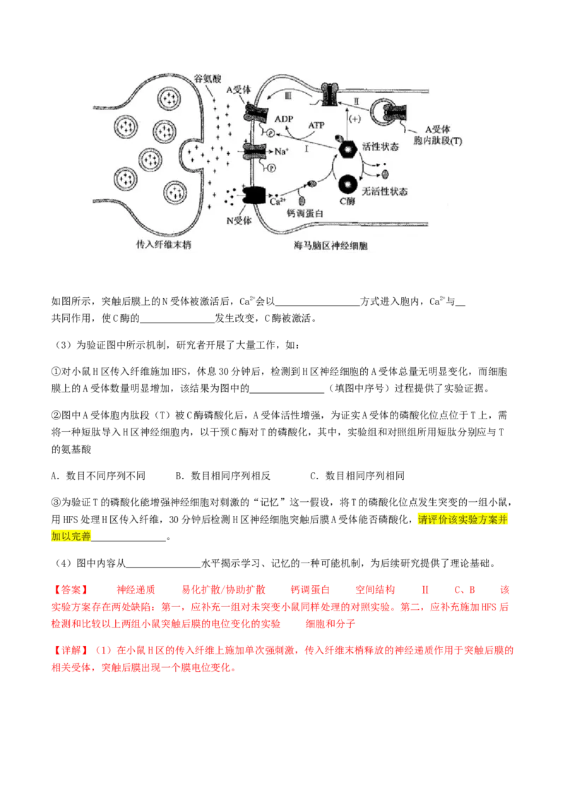 抢分13探究实验冲刺篇（教师版）_2024年新高考资料_5.2024三轮冲刺_备战2024年高考生物抢分秘籍（新高考专用）321842314