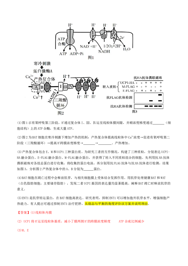 抢分13探究实验冲刺篇（教师版）_2024年新高考资料_5.2024三轮冲刺_备战2024年高考生物抢分秘籍（新高考专用）321842314