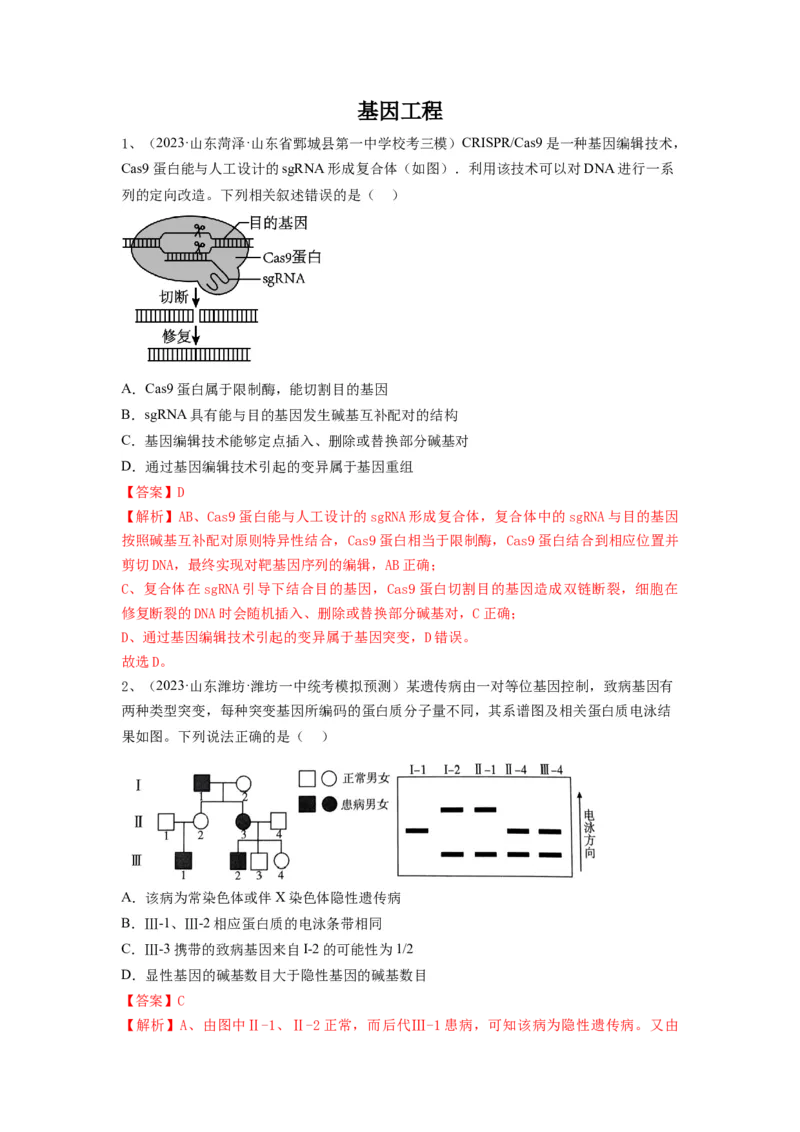 专题32基因工程（精练）（解析版）_2024年新高考资料_1.2024一轮复习_备战2024年高考生物一轮复习串讲精练（新高考专用）