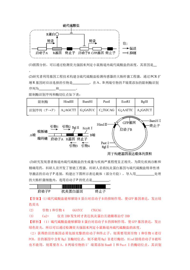 专题32基因工程（精练）（解析版）_2024年新高考资料_1.2024一轮复习_备战2024年高考生物一轮复习串讲精练（新高考专用）