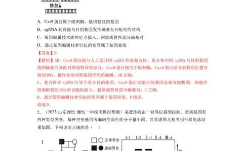 专题32基因工程（精练）（解析版）_2024年新高考资料_1.2024一轮复习_备战2024年高考生物一轮复习串讲精练（新高考专用）