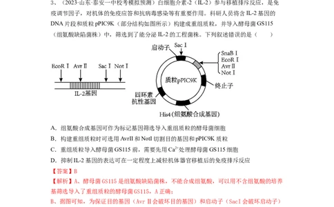 专题32基因工程（精练）（解析版）_2024年新高考资料_1.2024一轮复习_备战2024年高考生物一轮复习串讲精练（新高考专用）