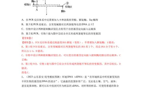 专题32基因工程（精练）（解析版）_2024年新高考资料_1.2024一轮复习_备战2024年高考生物一轮复习串讲精练（新高考专用）