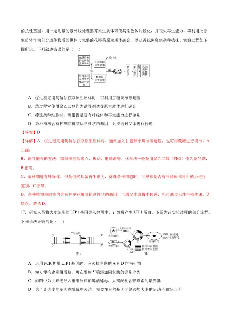 专题八生物技术与工程（测试）（解析版）_2024年新高考资料_2.2024二轮复习_2024年高考生物二轮复习讲练测（新教材新高考）