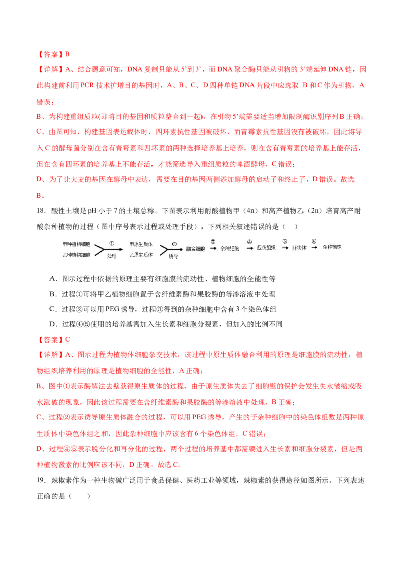 专题八生物技术与工程（测试）（解析版）_2024年新高考资料_2.2024二轮复习_2024年高考生物二轮复习讲练测（新教材新高考）