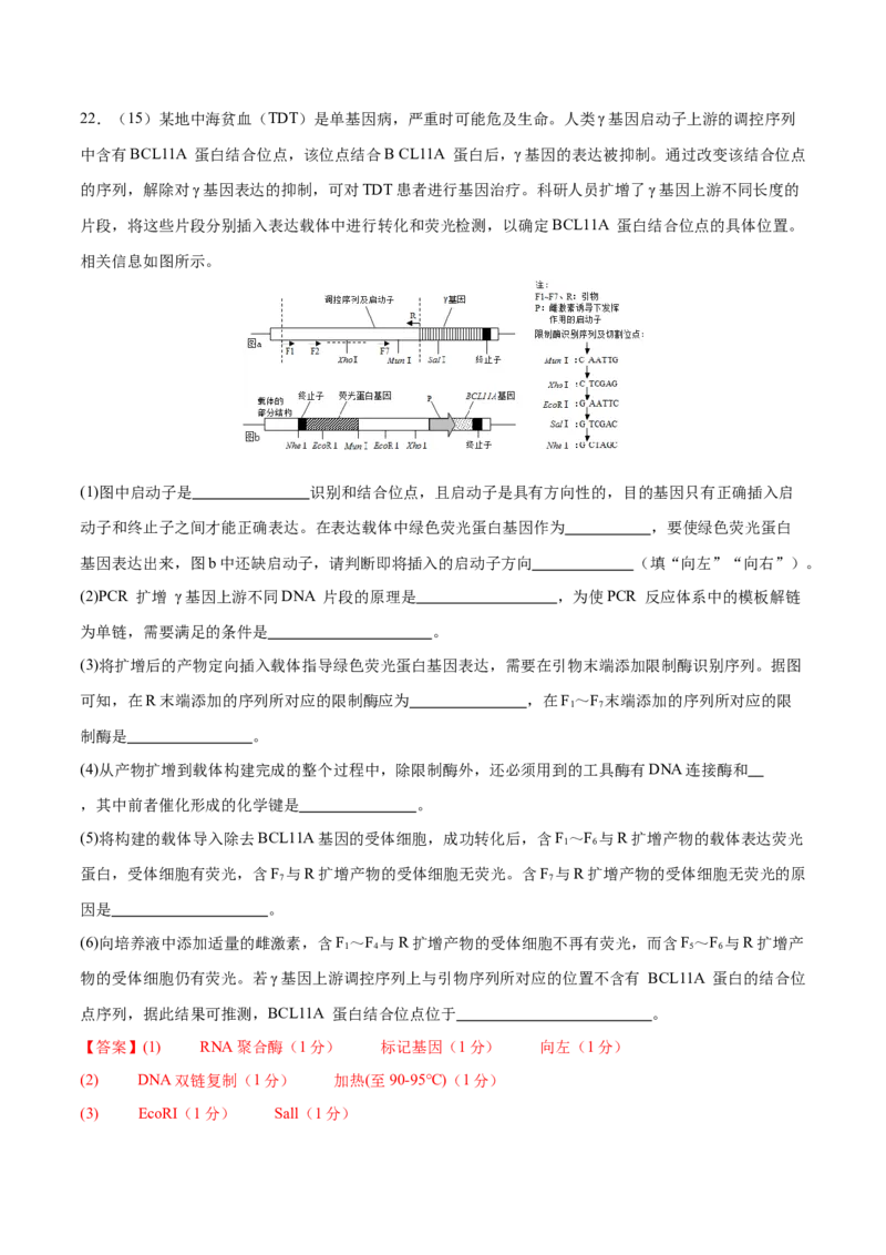 专题八生物技术与工程（测试）（解析版）_2024年新高考资料_2.2024二轮复习_2024年高考生物二轮复习讲练测（新教材新高考）