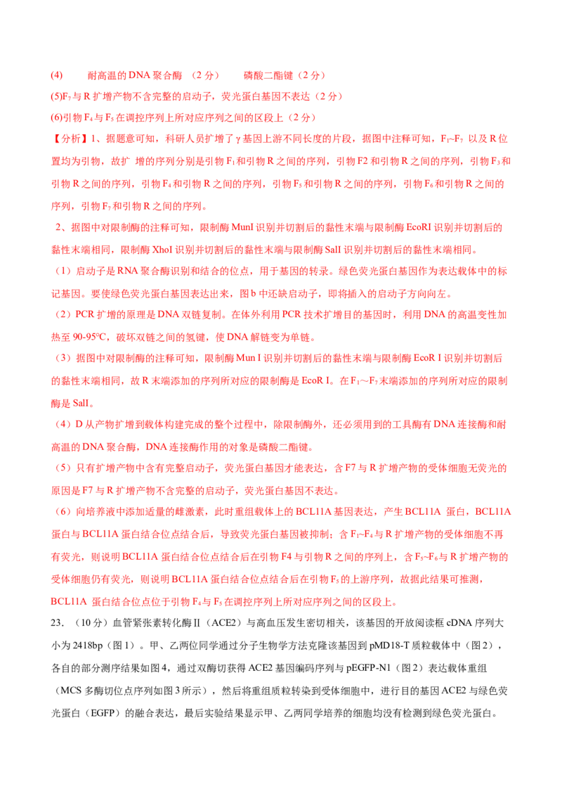 专题八生物技术与工程（测试）（解析版）_2024年新高考资料_2.2024二轮复习_2024年高考生物二轮复习讲练测（新教材新高考）
