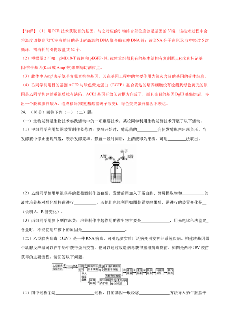 专题八生物技术与工程（测试）（解析版）_2024年新高考资料_2.2024二轮复习_2024年高考生物二轮复习讲练测（新教材新高考）