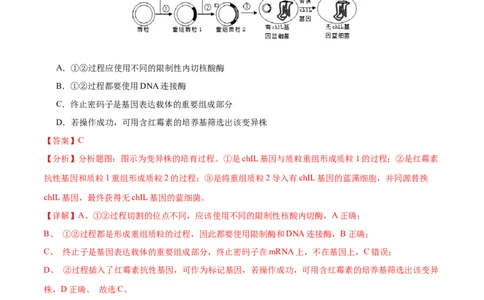 专题八生物技术与工程（测试）（解析版）_2024年新高考资料_2.2024二轮复习_2024年高考生物二轮复习讲练测（新教材新高考）