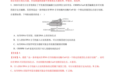 专题八生物技术与工程（测试）（解析版）_2024年新高考资料_2.2024二轮复习_2024年高考生物二轮复习讲练测（新教材新高考）