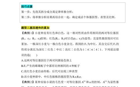 专题四自由组合定律重难集训（原卷版）_2024年新高考资料_5.2024三轮冲刺_2024年高考生物考前最后冲刺