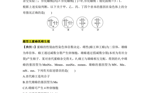 专题四自由组合定律重难集训（原卷版）_2024年新高考资料_5.2024三轮冲刺_2024年高考生物考前最后冲刺