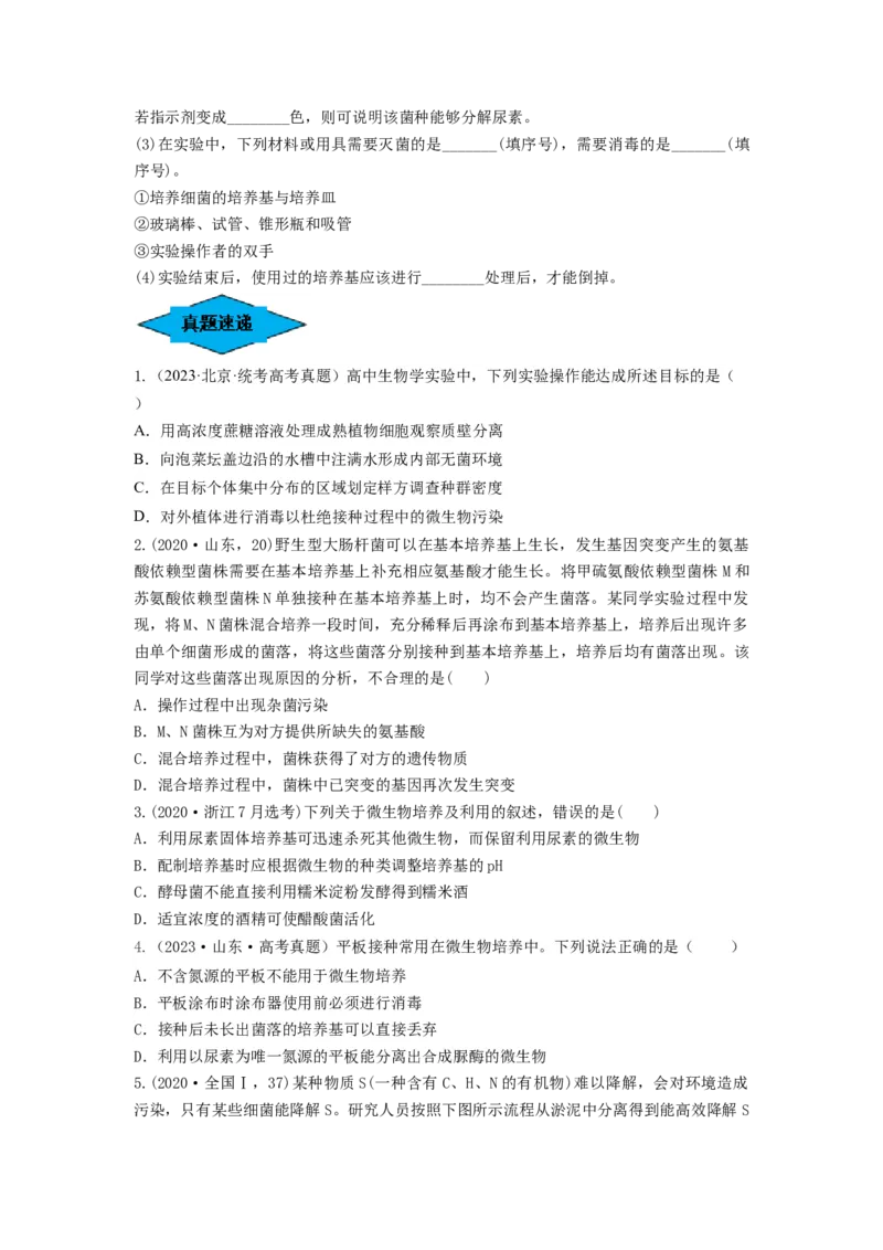 专题35微生物的培养技术及应用（串讲）（原卷版）_2024年新高考资料_1.2024一轮复习_备战2024年高考生物一轮复习串讲精练（新高考专用）