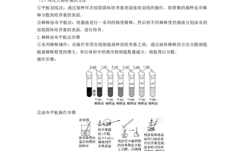 专题35微生物的培养技术及应用（串讲）（原卷版）_2024年新高考资料_1.2024一轮复习_备战2024年高考生物一轮复习串讲精练（新高考专用）