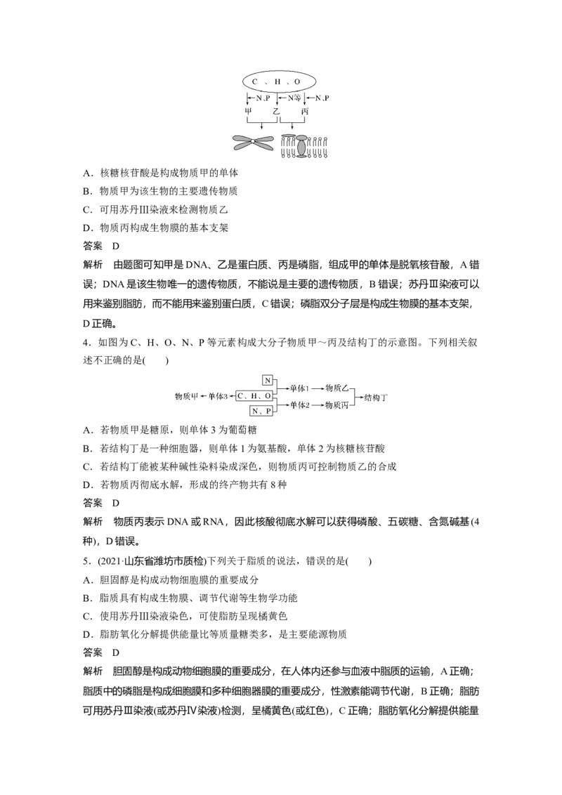 2022年高考生物一轮复习第1单元强化练1　细胞中的有机物_新高考复习资料_2022年新高考复习资料_2022年一轮复习最新版_1.2022年高考生物一轮复习全国通用版
