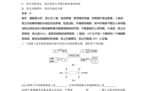 2022年高考生物一轮复习第1单元强化练1　细胞中的有机物_新高考复习资料_2022年新高考复习资料_2022年一轮复习最新版_1.2022年高考生物一轮复习全国通用版
