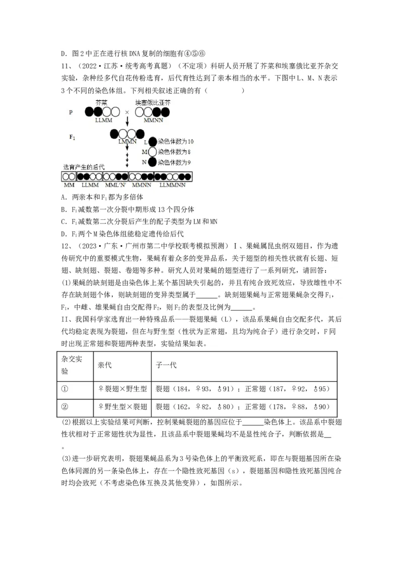专题21染色体变异与育种（精练）（原卷版）_2024年新高考资料_1.2024一轮复习_备战2024年高考生物一轮复习串讲精练（新高考专用）