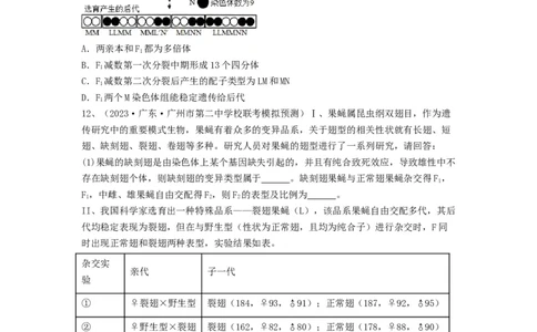专题21染色体变异与育种（精练）（原卷版）_2024年新高考资料_1.2024一轮复习_备战2024年高考生物一轮复习串讲精练（新高考专用）