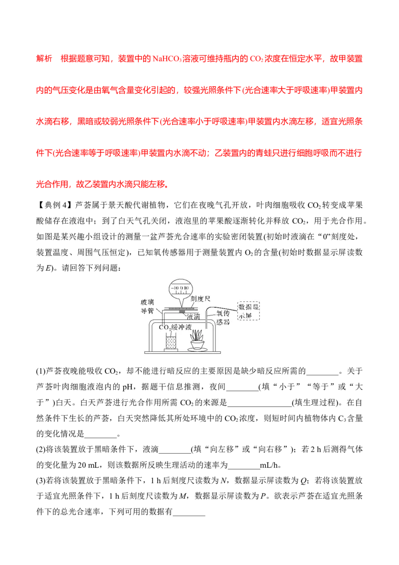 专题一光合作用与呼吸作用重难集训（解析版）_2024年新高考资料_5.2024三轮冲刺_2024年高考生物考前最后冲刺
