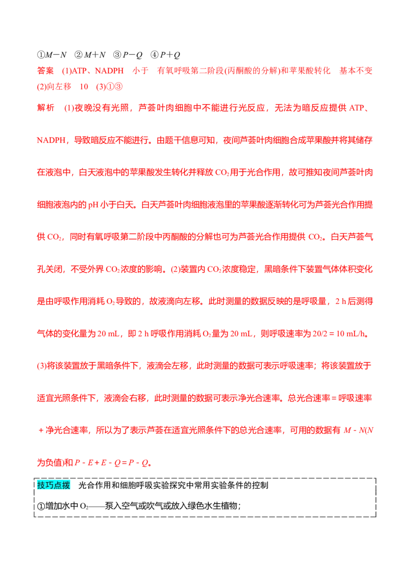 专题一光合作用与呼吸作用重难集训（解析版）_2024年新高考资料_5.2024三轮冲刺_2024年高考生物考前最后冲刺
