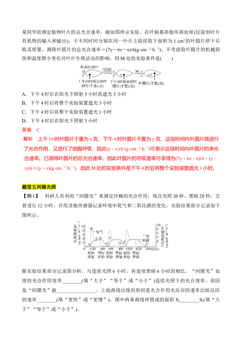 专题一光合作用与呼吸作用重难集训（解析版）_2024年新高考资料_5.2024三轮冲刺_2024年高考生物考前最后冲刺