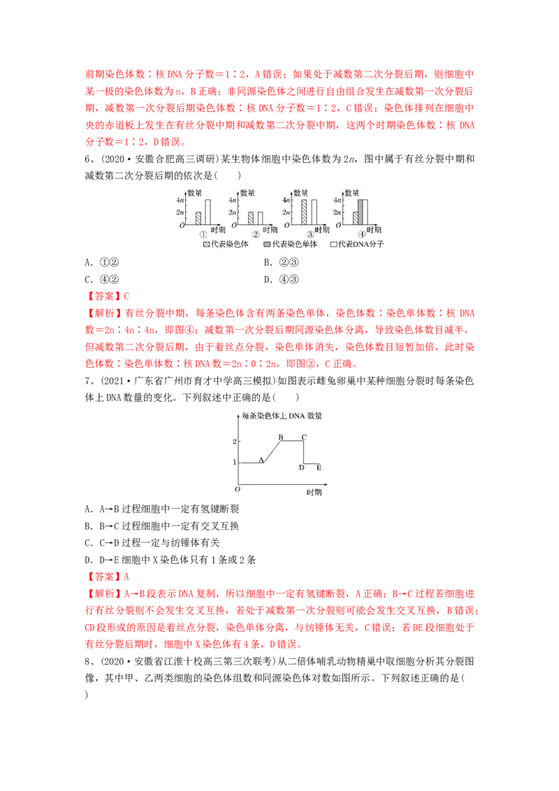 专题12减数分裂和受精作用（精练）（解析版）_2024年新高考资料_1.2024一轮复习_备战2024年高考生物一轮复习串讲精练（新高考专用）