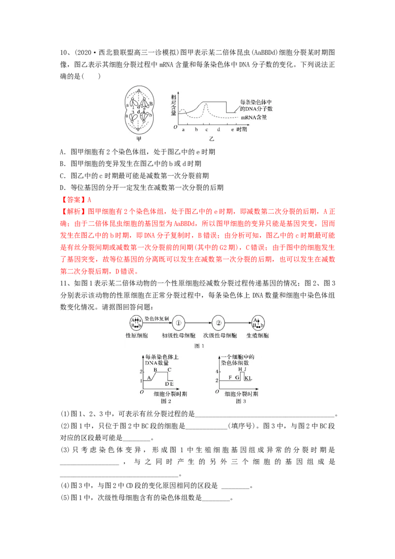 专题12减数分裂和受精作用（精练）（解析版）_2024年新高考资料_1.2024一轮复习_备战2024年高考生物一轮复习串讲精练（新高考专用）