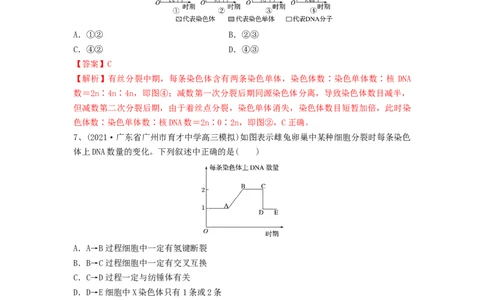 专题12减数分裂和受精作用（精练）（解析版）_2024年新高考资料_1.2024一轮复习_备战2024年高考生物一轮复习串讲精练（新高考专用）