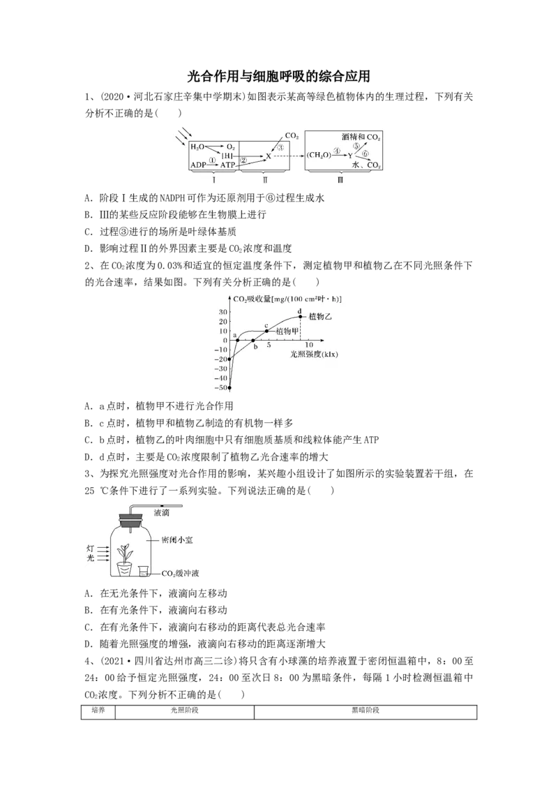专题10光合作用与细胞呼吸的综合应用（精练）（原卷版）_2024年新高考资料_1.2024一轮复习_备战2024年高考生物一轮复习串讲精练（新高考专用）