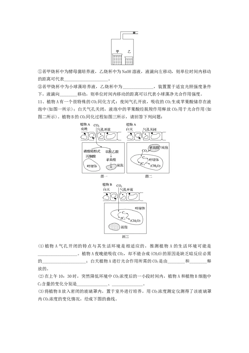 专题10光合作用与细胞呼吸的综合应用（精练）（原卷版）_2024年新高考资料_1.2024一轮复习_备战2024年高考生物一轮复习串讲精练（新高考专用）