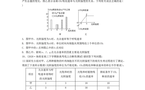专题10光合作用与细胞呼吸的综合应用（精练）（原卷版）_2024年新高考资料_1.2024一轮复习_备战2024年高考生物一轮复习串讲精练（新高考专用）