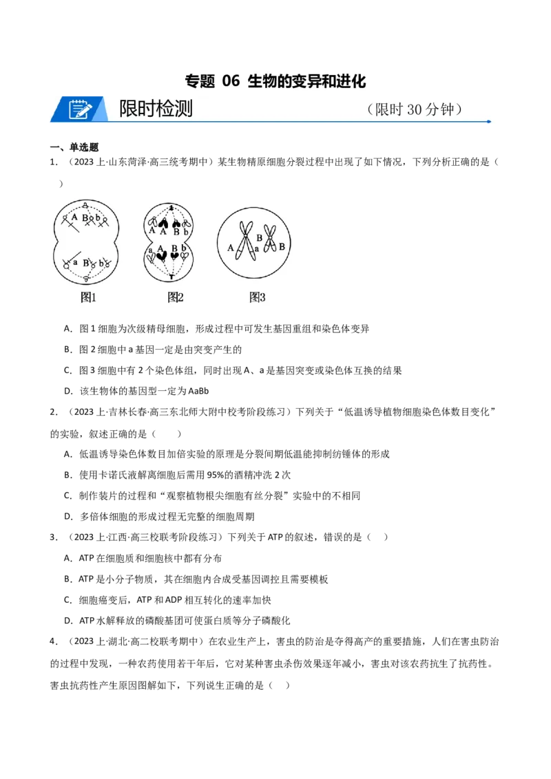 专题06生物的变异和进化（限时检测卷）_2024年新高考资料_3.2024专项复习_2024年高考生物热点&middot;重点&middot;难点专练（新高考专用）