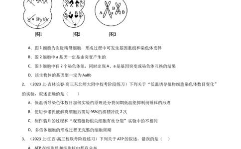 专题06生物的变异和进化（限时检测卷）_2024年新高考资料_3.2024专项复习_2024年高考生物热点&middot;重点&middot;难点专练（新高考专用）