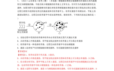 专题35微生物的培养技术及应用（精练）（解析版）_2024年新高考资料_1.2024一轮复习_备战2024年高考生物一轮复习串讲精练（新高考专用）