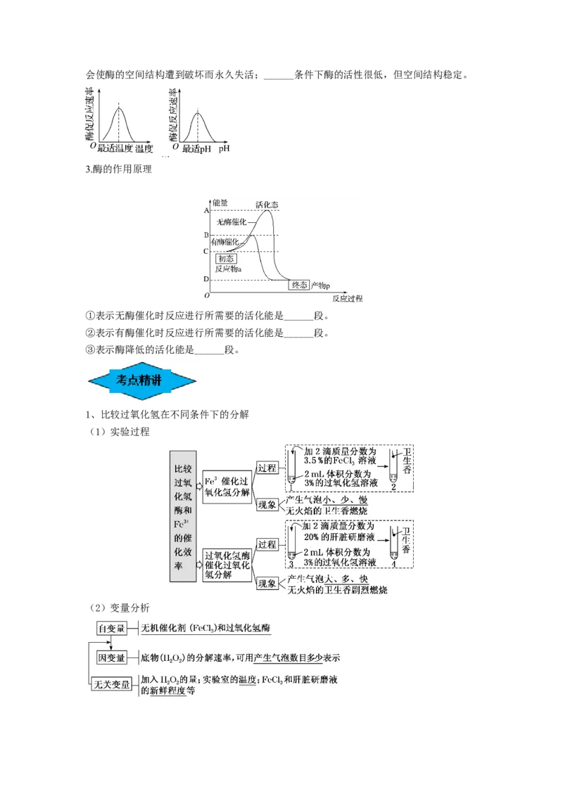 专题07酶和ATP（串讲）（原卷版）_2024年新高考资料_1.2024一轮复习_备战2024年高考生物一轮复习串讲精练（新高考专用）