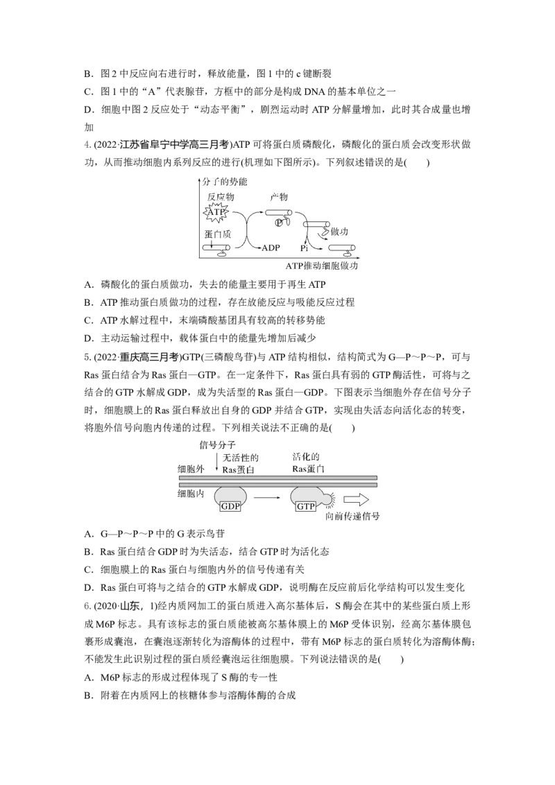 专题07酶和ATP（串讲）（原卷版）_2024年新高考资料_1.2024一轮复习_备战2024年高考生物一轮复习串讲精练（新高考专用）